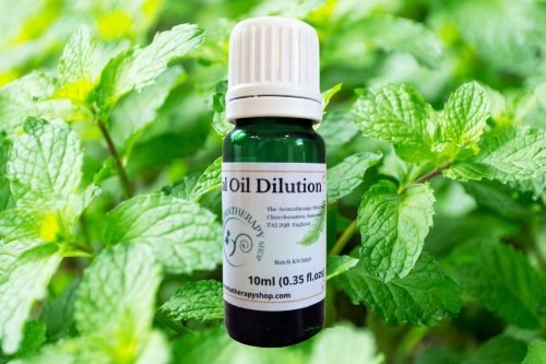 Balm Mint Bush (Australian) Essential Oil Dilution