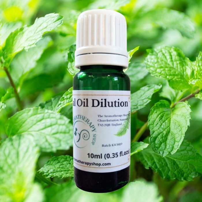 Balm Mint Bush (Australian) Essential Oil Dilution