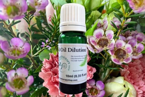 Carnation Essential Oil Dilution