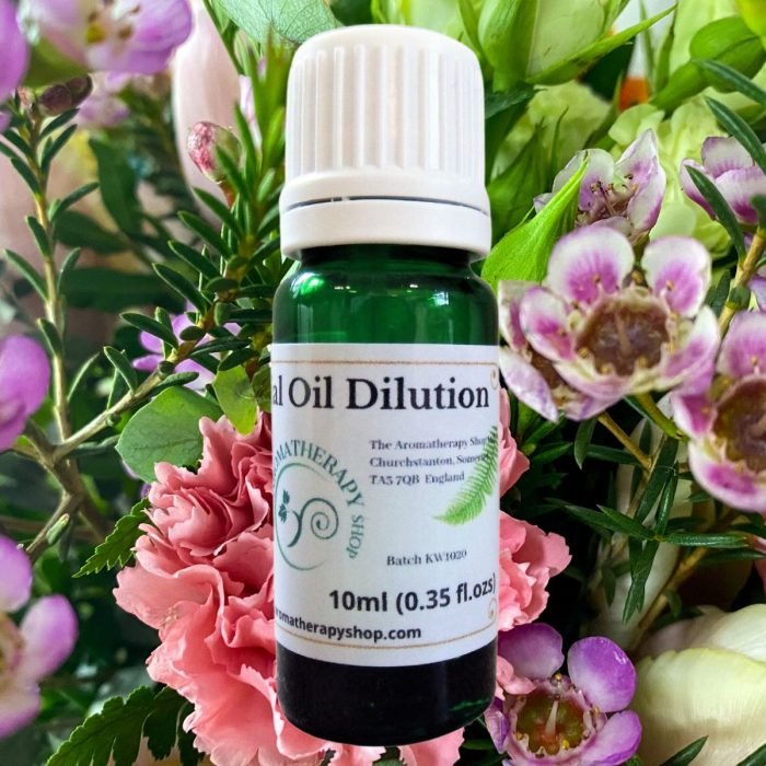 Carnation Essential Oil Dilution