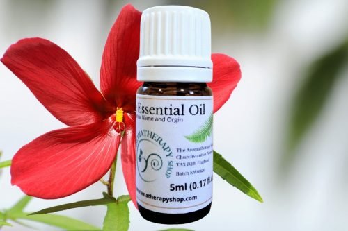 Ambrette Seed Essential Oil / USDA Certified Organic