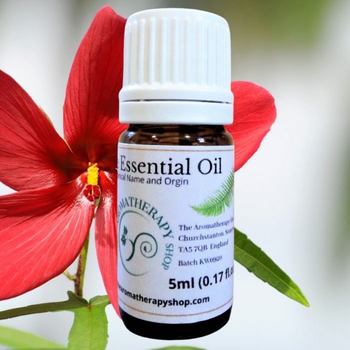 Ambrette Seed Essential Oil / USDA Certified Organic