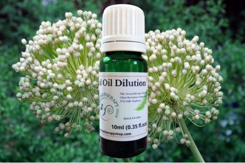 Angelica Root Essential Oil Dilution (Origin: England)