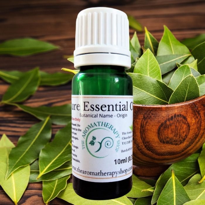 Bay Leaf Pure Essential Oil / Organic