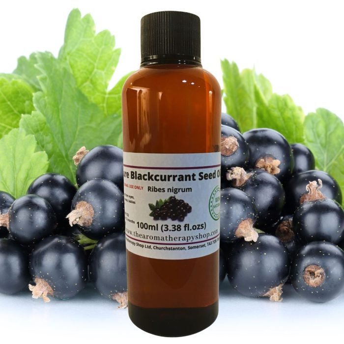 Blackcurrant Seed Oil / Pure