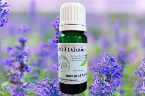 Blue Mountain Sage Essential Oil Dilution
