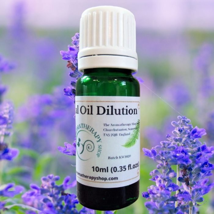 Blue Mountain Sage Essential Oil Dilution