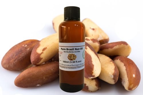 Brazil Nut (Amazonian Nut) Oil / Pure