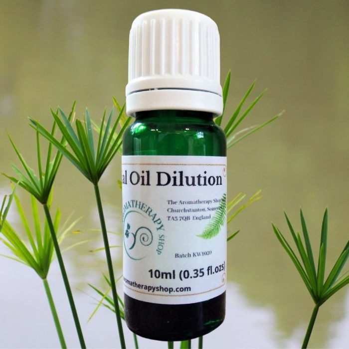 Cypriol (Brazilian) Essential Oil Dilution
