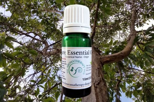 Camphor Pure Essential Oil