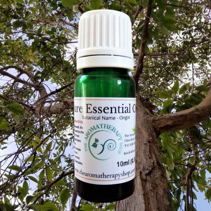 Camphor Pure Essential Oil