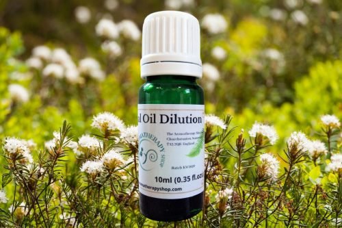 Cape Chamomile Essential Oil Dilution