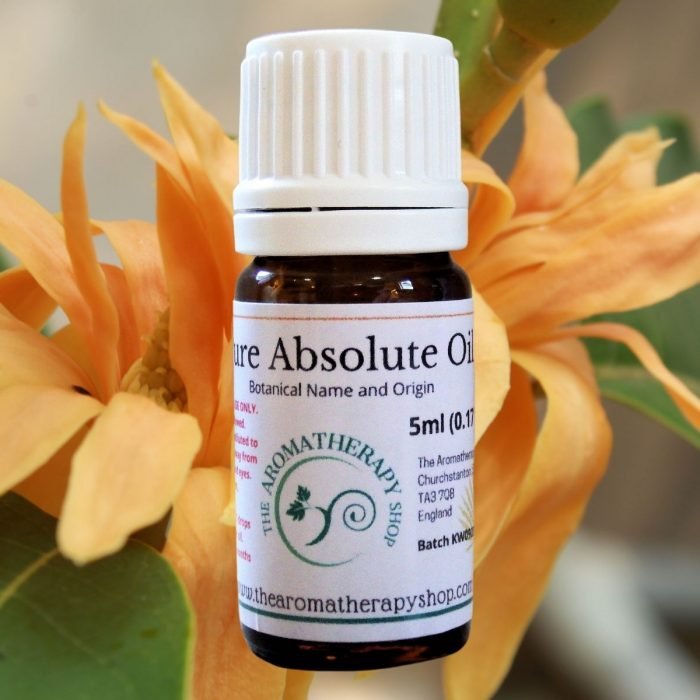 Champaca Absolute Oil