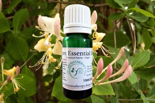 Chinese Honeysuckle Essential Oil / Spring floral aroma