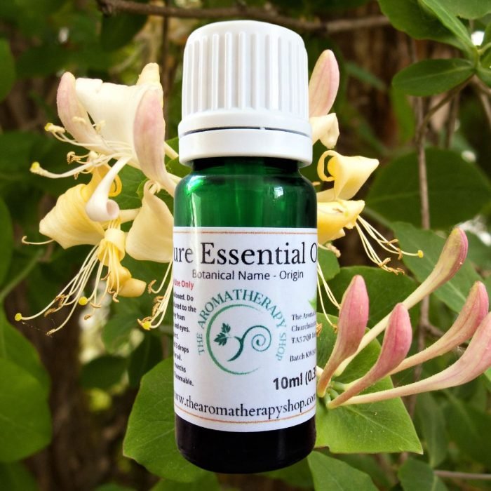 Chinese Honeysuckle Essential Oil / Spring floral aroma