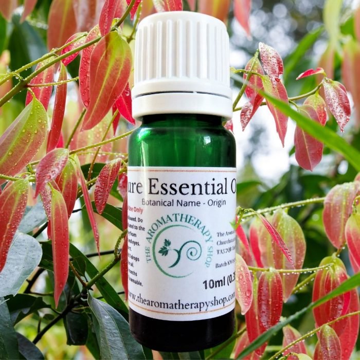 Cinnamon Leaf Pure Essential Oil