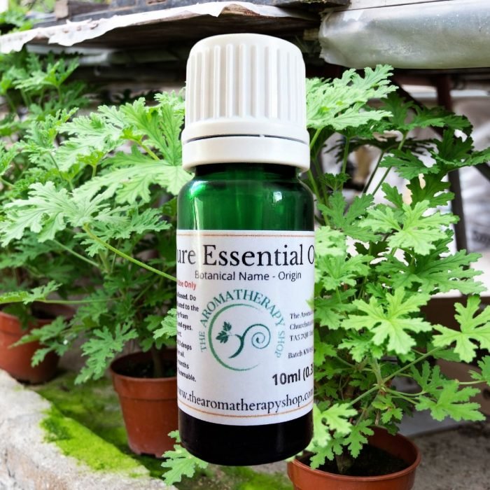 Citronella Pure Essential Oil