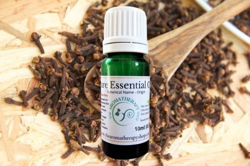 Clove Bud Pure Essential Oil