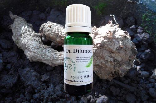 Circuma Zedoaria Essential Oil Dilution