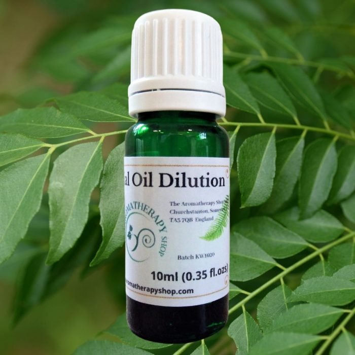 Curry Leaf Essential Oil Dilution 