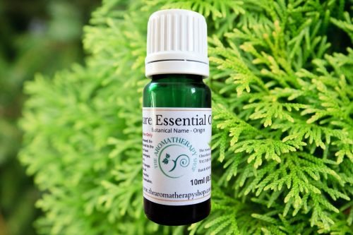 Cypress Pure Essential Oil