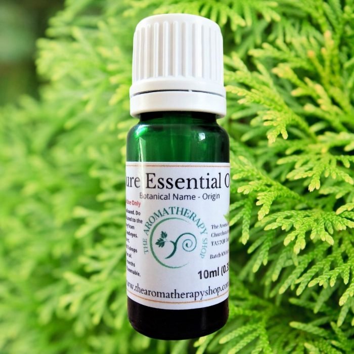 Cypress Pure Essential Oil
