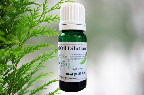 Cypress Essential Oil Dilution / English Grown / Organic