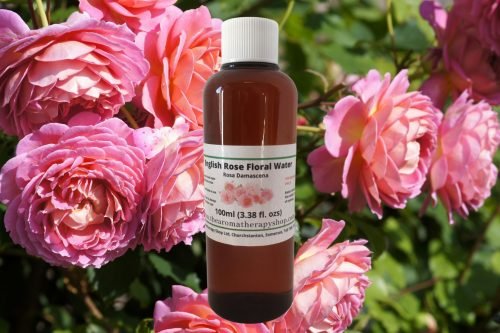 Rose (English) Floral Water