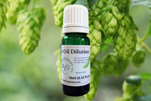 Hop (English) Essential Oil Dilution / Organic