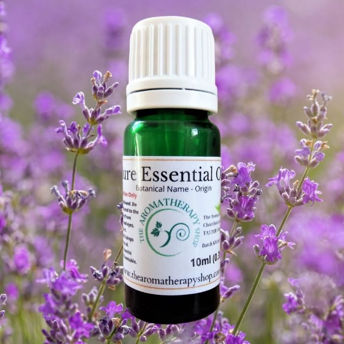 Lavender (English) Pure Essential Oil - Locally Grown