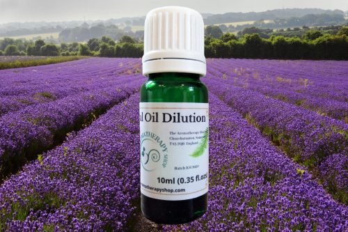 Lavender (English) Essential Oil Dilution / Organic