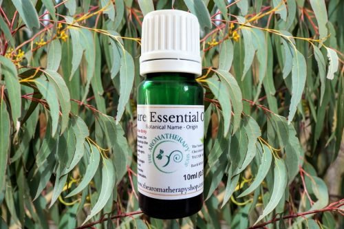 Eucalyptus Peppermint Dives Pure Essential Oil 