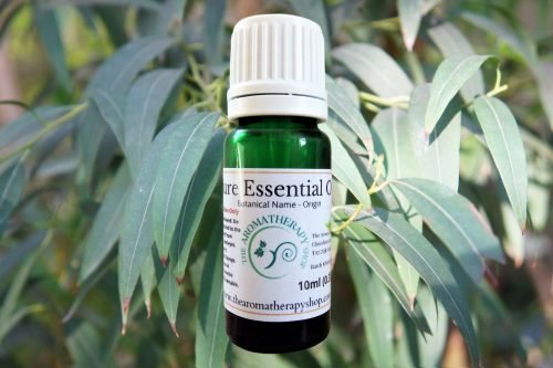 Eucalyptus Pure Essential Oil 