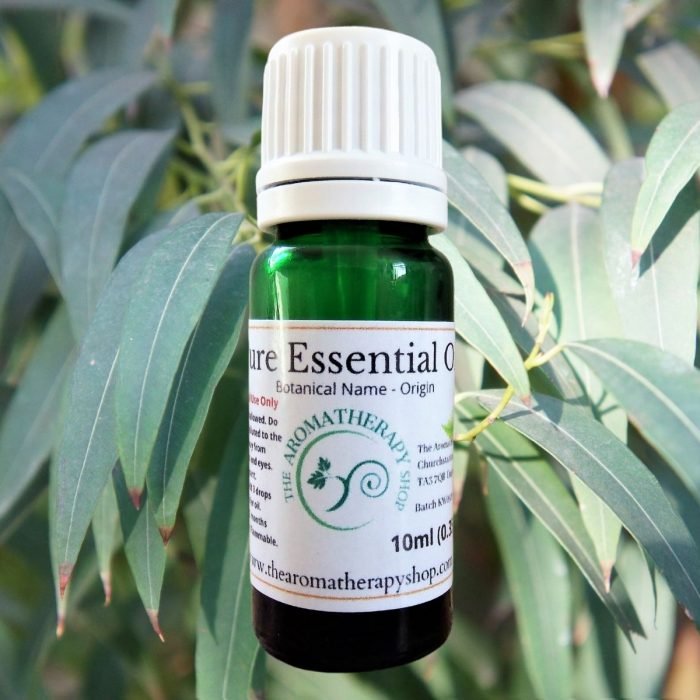 Eucalyptus Pure Essential Oil