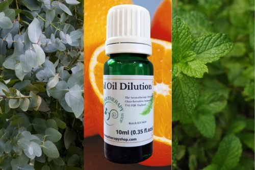 Eucalyptus, Mint and Orange Essential Oil Blend 10ml (0.35 fl.ozs)