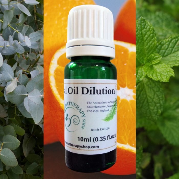 Eucalyptus, Mint and Orange Essential Oil Blend 10ml (0.35 fl.ozs)