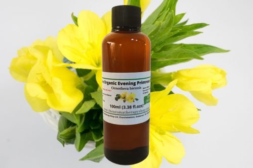 Evening Primrose Oil / Pure / Organic