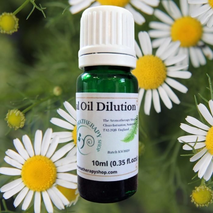 Chamomile (German Blue) Essential Oil Dilution