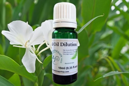 Ginger Lily Essential Oil Dilution