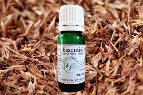 Gingergrass Pure Essential Oil 