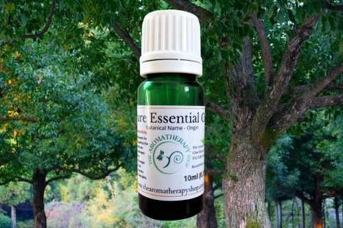 Ho Wood Pure Essential Oil 