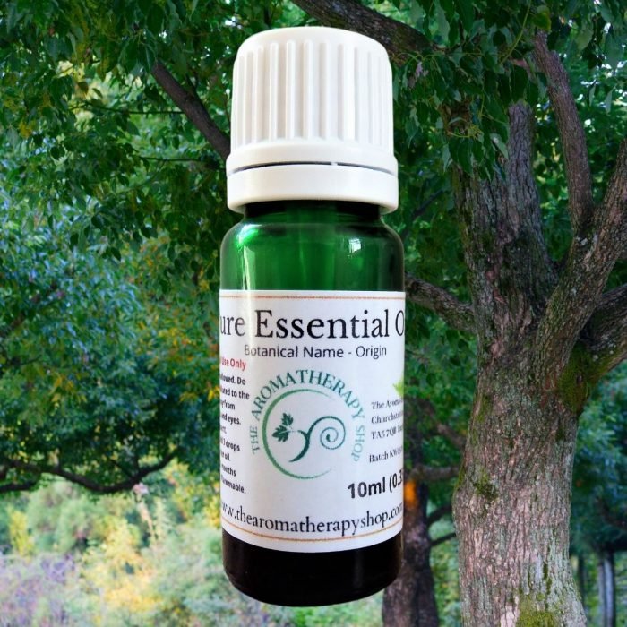 Ho Wood Pure Essential Oil