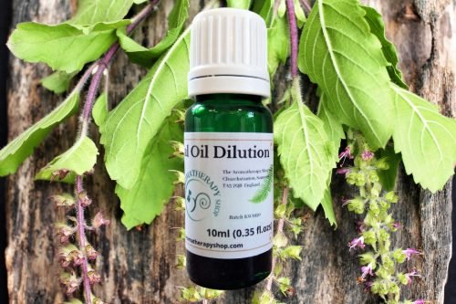 Holy Basil Essential Oil Dilution