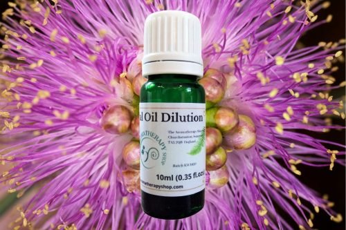 Honey Myrtle Essential Oil Dilution
