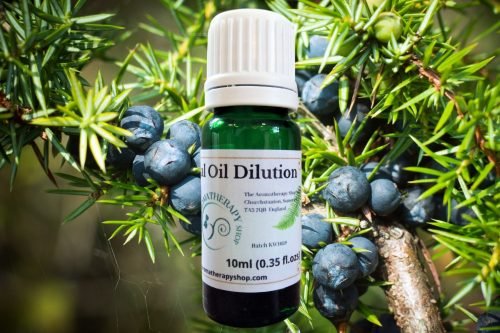 Juniperberry (Himalayan) Essential Oil Dilution