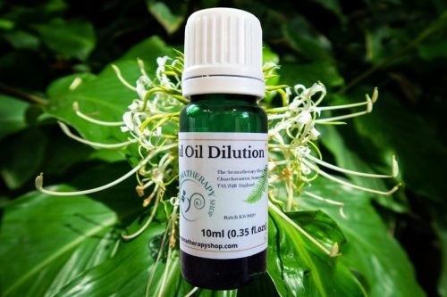 Kapur Kachari Essential Oil Dilution / Rare and hard to find