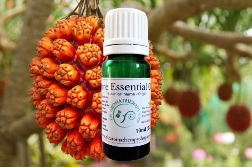 Kewra Flower Essential Oil / Organic (Origin: India)