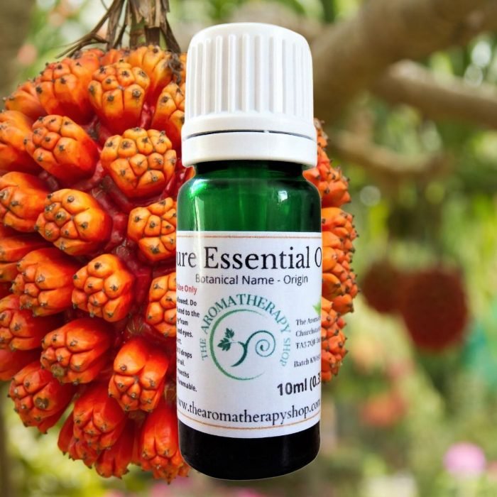 Kewra Flower Essential Oil (Origin: India)