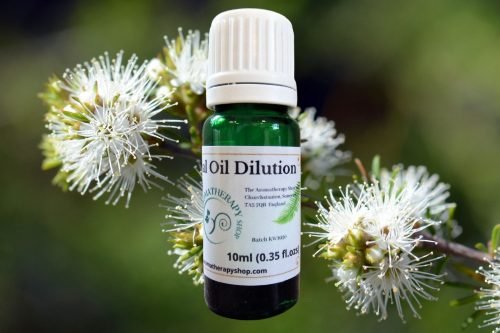 Kunzea (White Cloud) Essential Oil Dilution