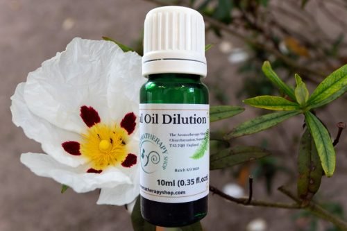 Labdanum Essential Oil Dilution